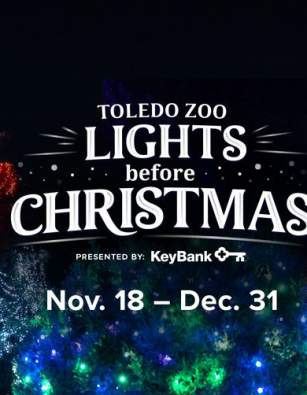 Lights Before Christmas
