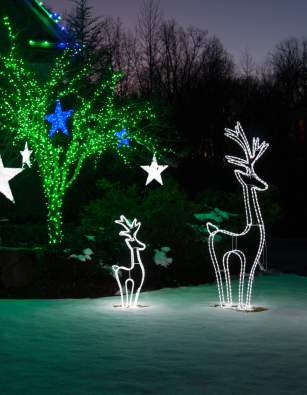 Holiday Lights Evening Tours of Sandusky 2022/Groups and Holidays listing below
