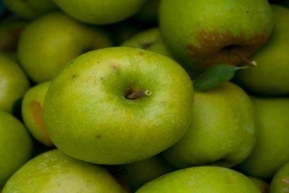 10753_5953_crooked orchard 2.jpg