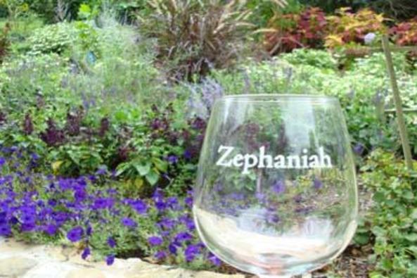 112042_5068_Zephaniah_garden.JPG