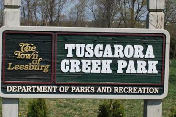 12287_6593_tuscarora creek.JPG