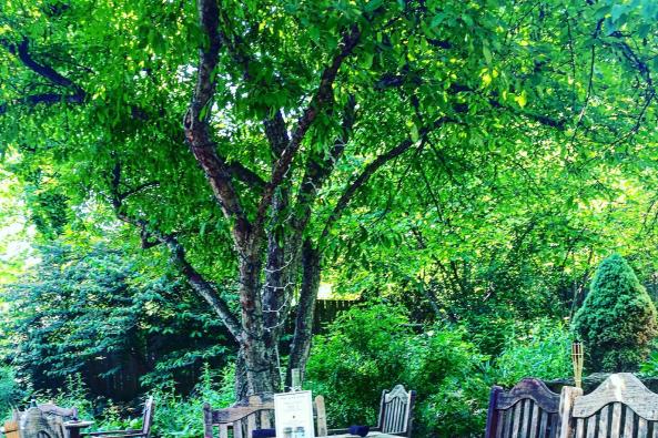 Patio Seating