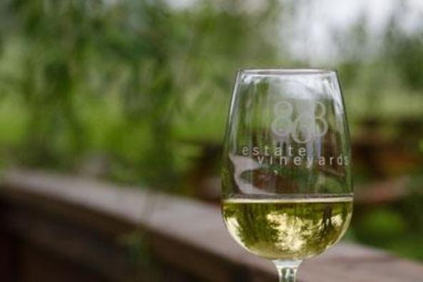 148505_4948_868 chardonnay at 868-7528.jpg