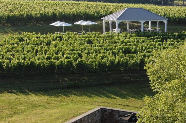 Pavilion in the Vines