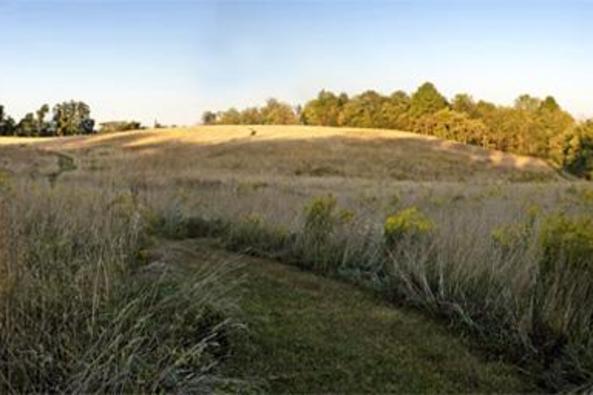 2237_4659_georges mill fields.jpg