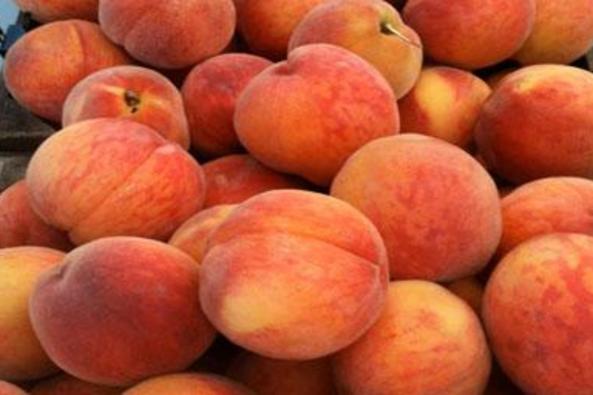 25963_5924_cascades farmers 2.jpg