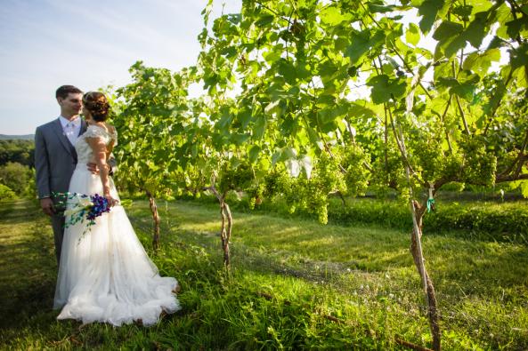 Vineyard Wedding Shot