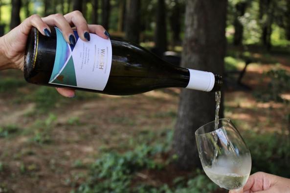 Walsh Family Wine