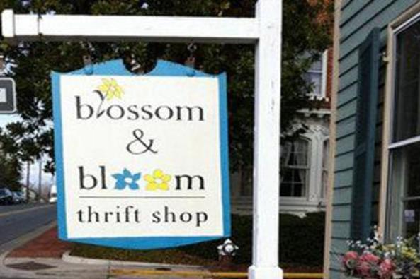 40943_5964_blossom.jpg