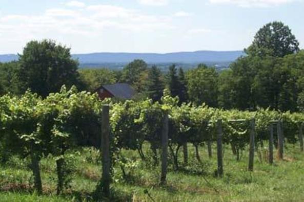 44275_5062_Willowcroft Farm Vineyards.JPG