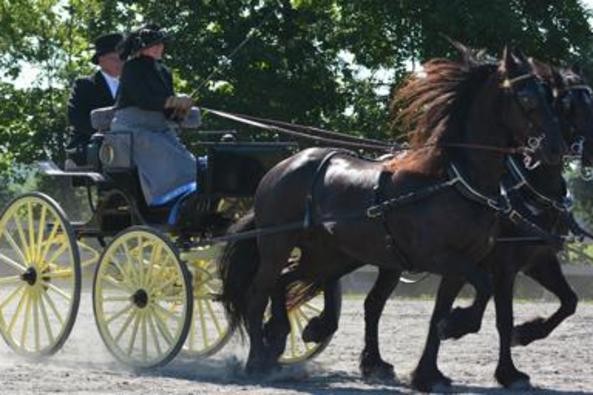 60_4001_carriage show - vl page.jpg