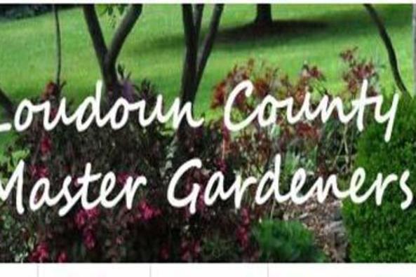 75902_6495_gardener.JPG
