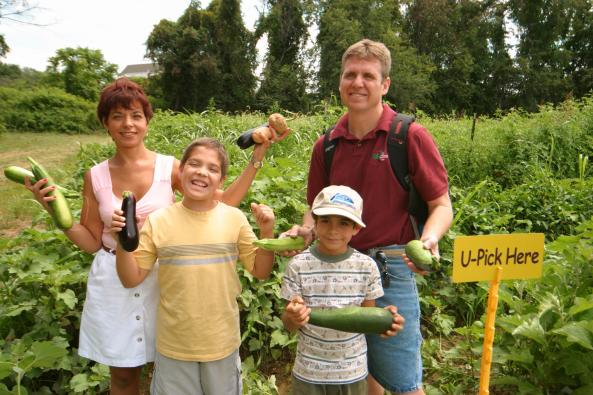 839_305_JG Great Country Farms u-pick web.jpg