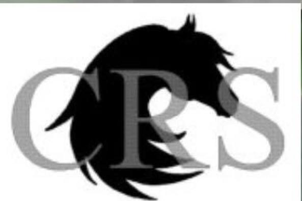 Chase Run Logo