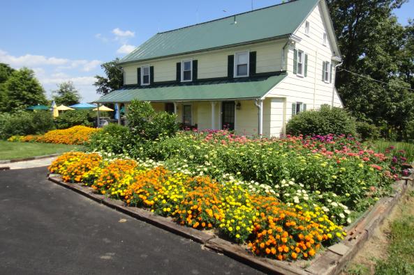 Farmhouse Tasting Room in Summer