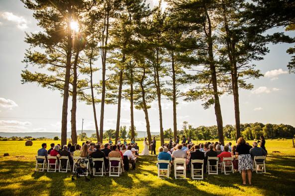 Stephanie and Aaron's Wedding in the Pine Grove
