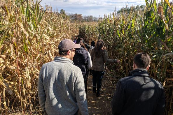 Corn Maze Race