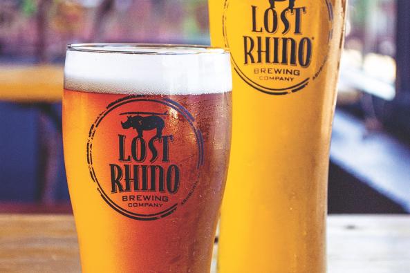 Lost Rhino Pour 2