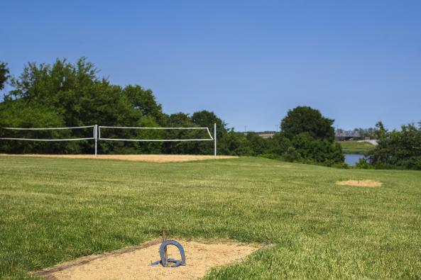 Volleyball and Horseshoes