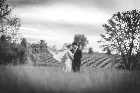 vineyard black and white