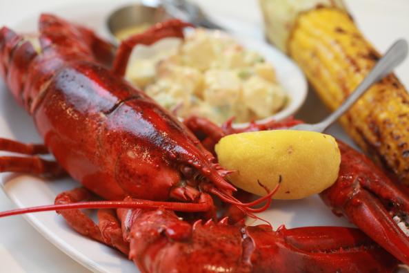 Whole 1 1/4 LB Steamed Lobstah
