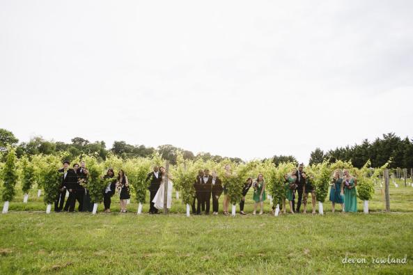 bridal party in the vineyard