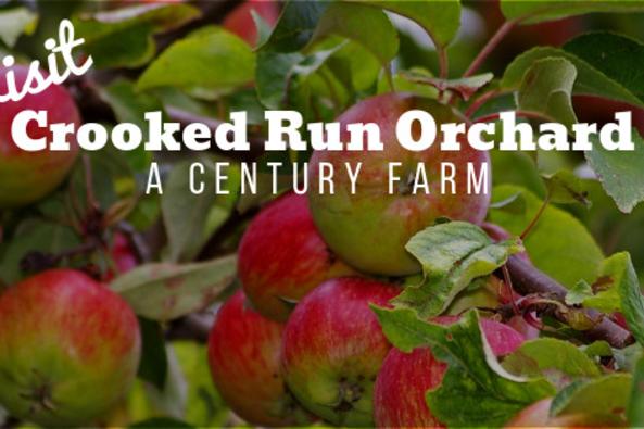 Crooked Run Orchard Logo