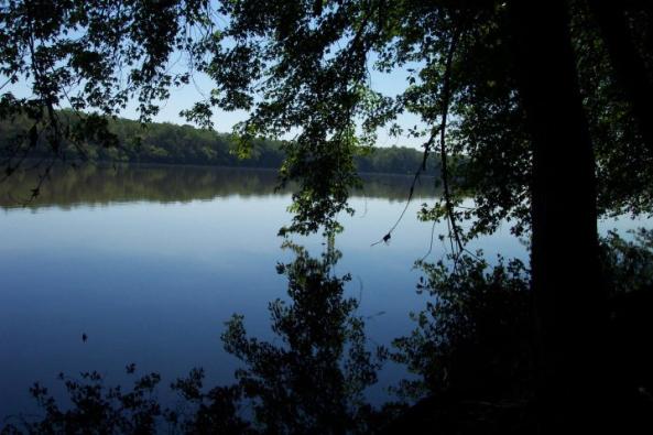 elizabeth landing image