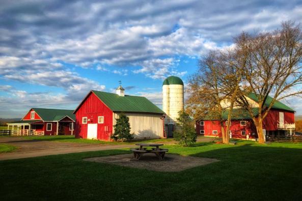 faith like a mustard seed image barn