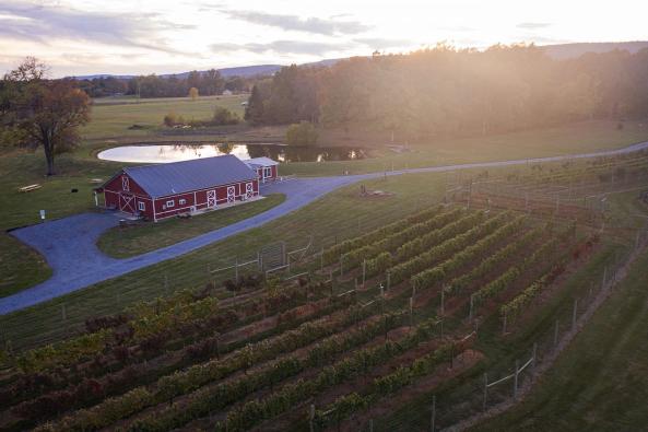 forever farm and vineyard   overveiw  barn