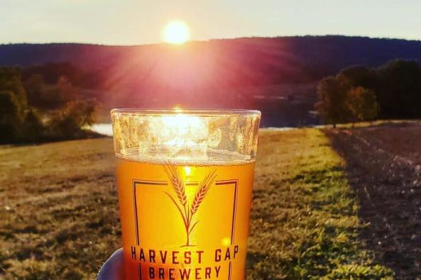 Harvest Gap Brewery Image