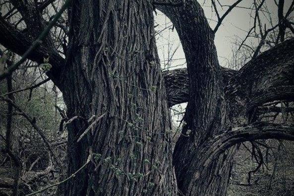 Middleburg Ghost Tours Image 1