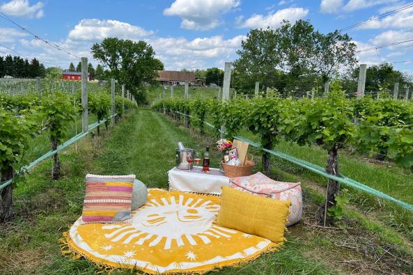 Vineyard Picnic