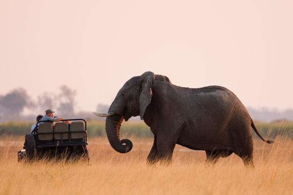 Africa