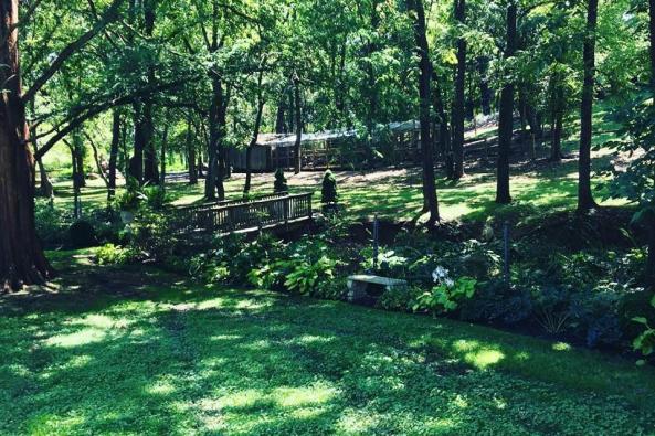 springdale image 1