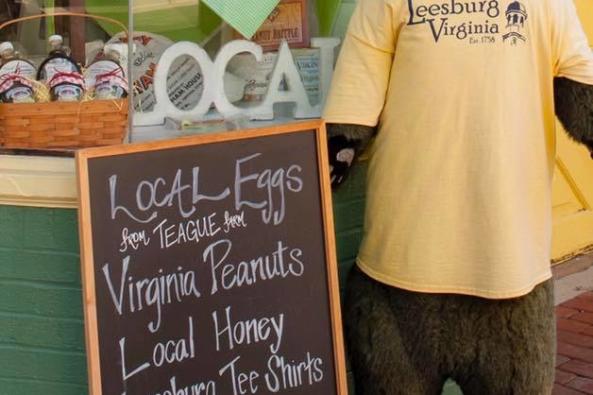Very Virginia Bear Image