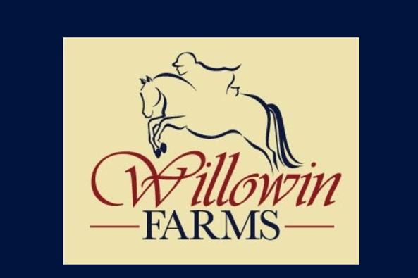 Willowin