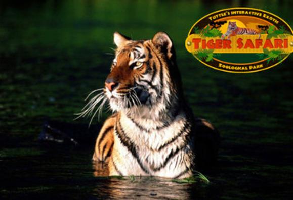 Tiger Safari - Interactive Exotic Zoological Park