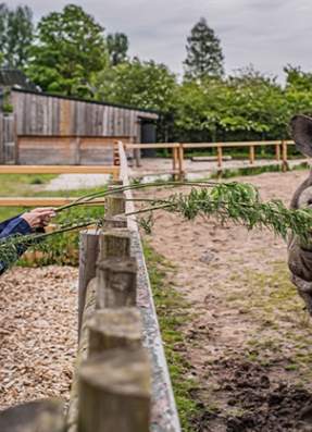 Chester Zoo