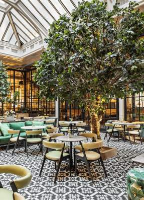 Winter Garden Afternoon Tea at Refuge