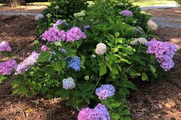 Montgomery Botanical Garden