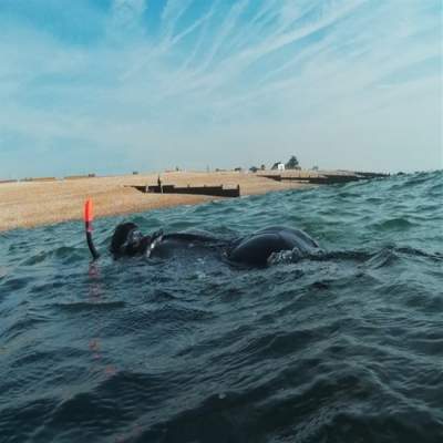 Mulberry Marine Experiences