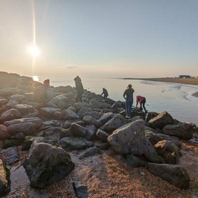 Mulberry Marine Experiences- Marine Ecology Walks