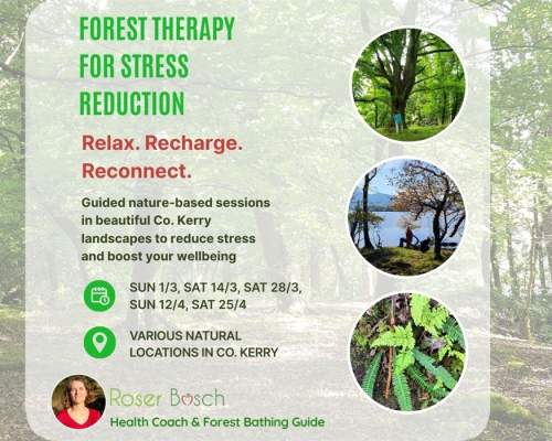 Forest Therapy for Stress Reduction