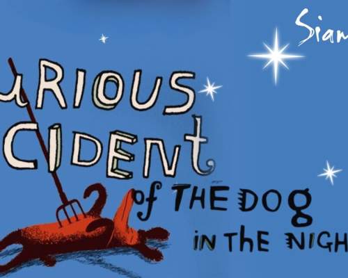 The Curious Incident of the Dog in the Night-Time