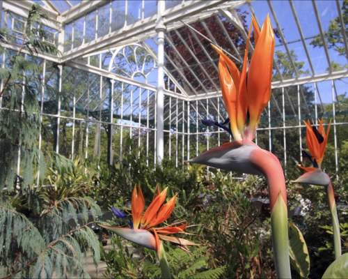 Hesketh Park