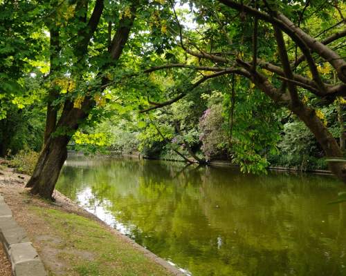 Botanic Gardens