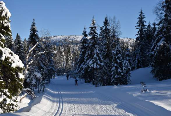 Her Er Det Skiforhold Na Med Litt Gamle Ski Gar Det Veldig Greit Fvn No