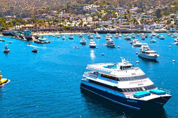 Catalina Flyer