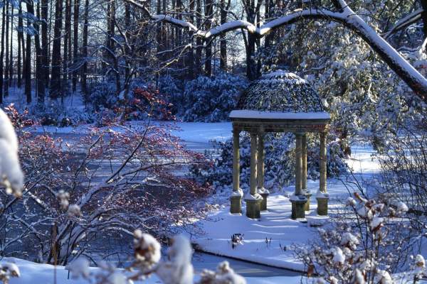 Winter Wonder at Longwood Gardens